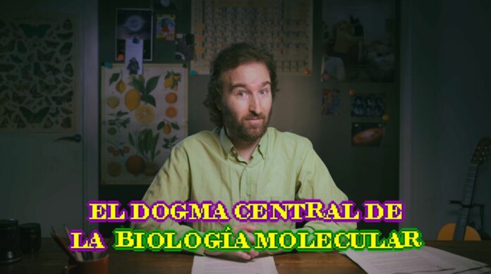 pablo-barrecheguren