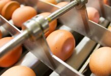 The owners of Bachoco prepare a public offer to go for all the shares