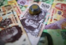 Do you use Direct Cetes? You will have a new option to invest your money