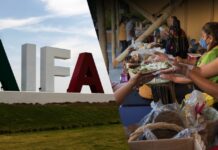 The IMPI stops the flight of the "AIFA Tlayudas"