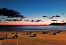 Why is there water in the sea and other curiosities of the beach