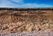 Biodiversity underground: an ecosystem under our feet