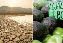 Has it happened to you too? Inflation and climate change change the priorities of Mexican consumers