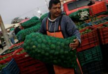 Mexico's economic activity falls 0.3% in June