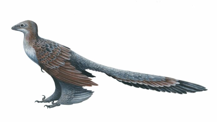 dinosaurio-alas_-plumas