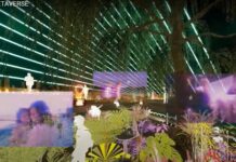 Mexican pride! TEC students win contest in the metaverse