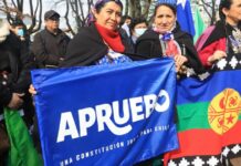 What does it mean to be a Plurinational State and why does it cause controversy in Chile?