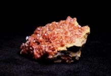 They discover a mineral that can 'remember' like a human