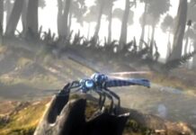 Meganeura, the largest insect that ever lived
