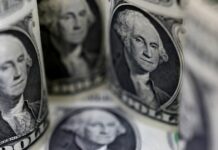 The super dollar is unstoppable and registers a maximum of 20 years