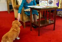 Isabel II's corgi dogs were adopted by her son Andrés