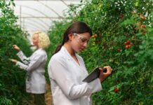 What will the agriculture of the future look like?