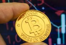 Bitcoin lives its worst year since its creation