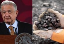 Millionaire business? The government says that lithium can leave up to 12 billion pesos to the country