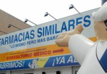 More than a stuffed animal: Farmacias Similares has 8,000 branches and 75% of the generic market in Mexico