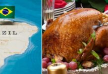 Brazilian turkey: your Christmas dinner could be imported from that country after a permit from Senasica