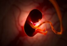 First direct evidence that babies react to taste and smell in the womb