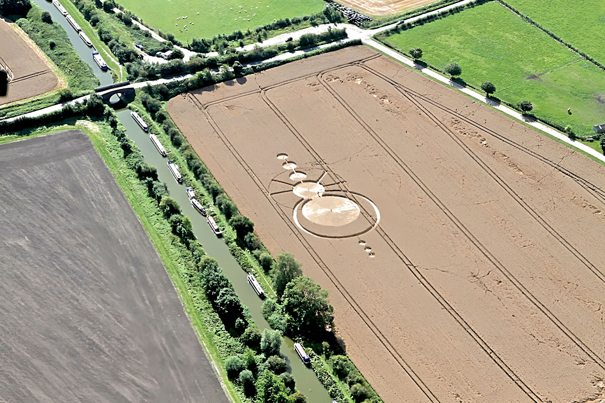 The true story of the circles in the cereal fields - Padeye