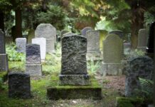 Using decomposing human remains as compost will be legal from 2027