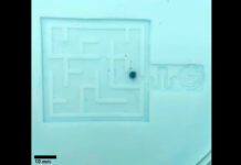 They create a robot that could cross the arteries and capillaries of the human body