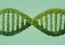 Are we subjected by our genes?