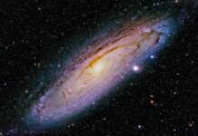 Gaia finds the protogalaxy that became the heart of the Milky Way