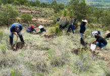 Mercado Libre and its commitment to sustainability grow in parallel