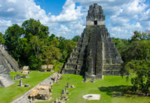 They discover that the ancient Mayan cities were contaminated with mercury