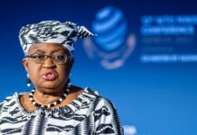 The WTO projects a global economic recession