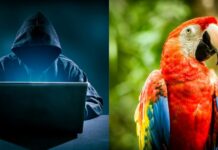 It wasn't just Mexico. Macaw also attacked other countries
