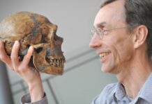 Nobel Prize in Medicine to Swedish Svante Pääbo, explorer of prehistoric DNA