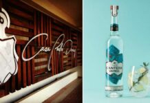 Goodbye wine? Casa Pedro Domecq goes through the market of crystal clear distillates with Mexican mezcal and gin
