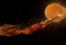 The Moon formed instantly after a massive collision, according to a new study
