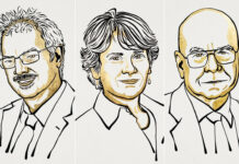 Nobel Prize in Chemistry 2022 to the developers of a tool to build molecules