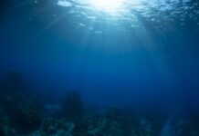 The Earth has an 'ocean' 660 km deep