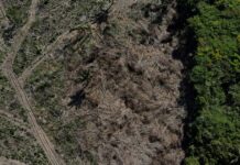 This photo is from the Brazilian Amazon; deforestation just hit an all-time high in September