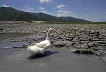 A call for joint action on climate change