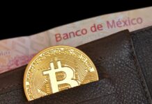 Take it: 1 out of 10 Mexicans has cryptocurrencies, and 20% of them are Bitcoin