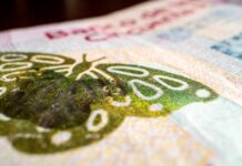 Have you checked your tickets yet? Counterfeiting increases in 2022