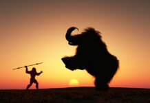 Neanderthals Were Carnivores, Claims New Study