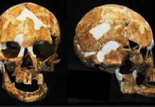 A 6,000-year-old skull confirms the legend of an ancient tribe in Taiwan, the 'Negritos'
