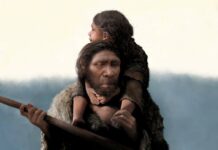 Oldest Known Neanderthal Family Discovered