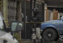 Jalisco, paradise for cartels? This is his x-ray of violence and criminal