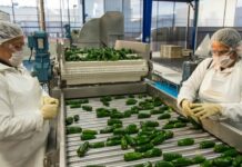 Herdez prepares promotions to sell more and solve pricing