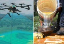 Drones that monitor oil pipelines: the solution to end the huachicoleo?