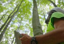 How can we observe climate change?