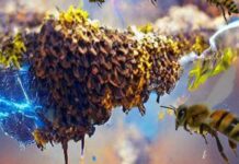 Insect swarms generate as much electricity as a thunderstorm