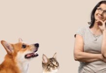 Find out if you are more of a dog or a cat