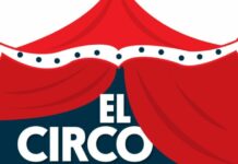 The Circus 🎪| Debt and magic, speed show and animal attraction