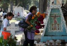 Inflation scythe sticks to tomb maintenance and gardening